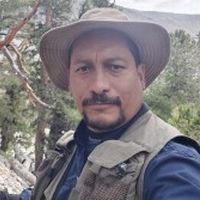 Briceño Elizondo, Elemer